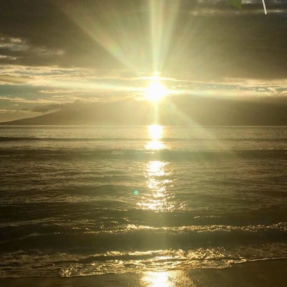 Meet your Posher, Michael - Picture 1 of 1